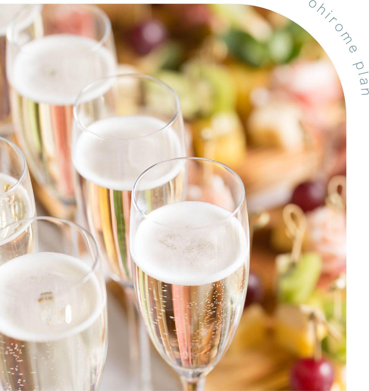 お披露目パーティープラン